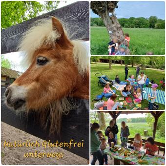 Die Neue Frankfurt DZG Gruppe startete im Mai mit einer Kennenlerntour Rund um die Schwanheimer Wiesen bei Frankfurt. Die Schwanheimer Wiesen, heute die größte zusammenhängende Wiesenfläche im Frankfurter Stadtwald waren ehemals vom Main überschwemmter Sumpfwald. Das Wetter spiele mit und wir konnten die große Runde drehen. Kleine Pause am Struwwelpeter eine „Baumkunst von F.K. Waechter“.  Der Waldspielplatz lud zu unserem wohlverdienten Picknick ein, die Erwachsenen konnten sich Austauschen und die Kids ha
