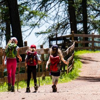 Wald- &amp; Wildnisdetektiv/in unterwegs