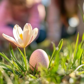 Frühling in Bad Urach